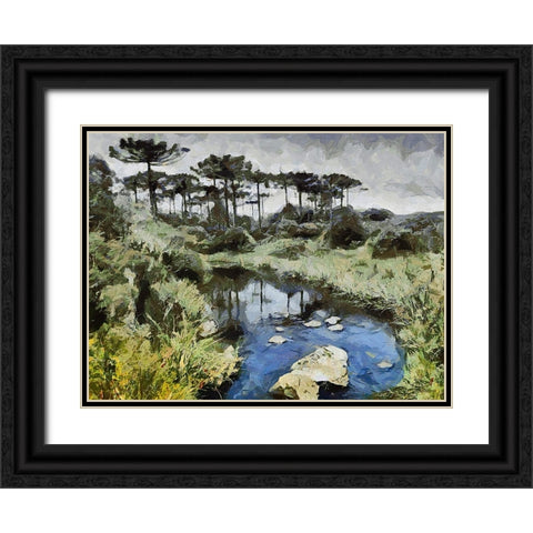 River in Tropical Nature Black Ornate Wood Framed Art Print with Double Matting by Medeiros, Celito