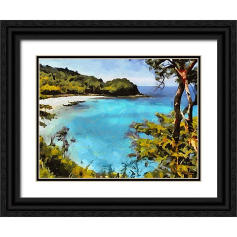 Tropical Coast VI Black Ornate Wood Framed Art Print with Double Matting by Medeiros, Celito