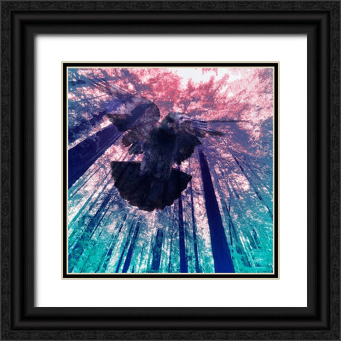 Dove in Flight Black Ornate Wood Framed Art Print with Double Matting by Tenoever, William