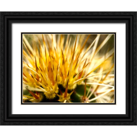 HedgehogCactus Black Ornate Wood Framed Art Print with Double Matting by Tenoever, William