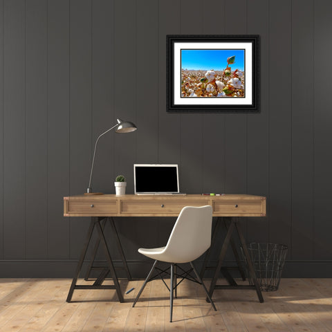 CottonFields1 Black Ornate Wood Framed Art Print with Double Matting by Tenoever, William