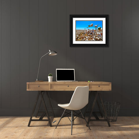 CottonFields2 Black Ornate Wood Framed Art Print with Double Matting by Tenoever, William