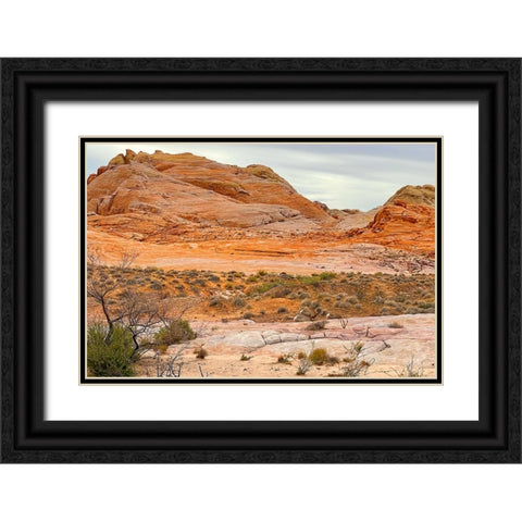 ValleyOfFire:BigHornSheep1 Black Ornate Wood Framed Art Print with Double Matting by Tenoever, William
