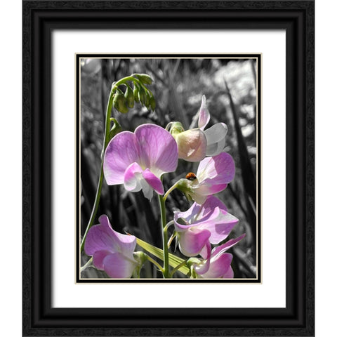 Peavine B/W 1 Black Ornate Wood Framed Art Print with Double Matting by Tenoever, William