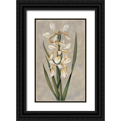Decorative Irises II Black Ornate Wood Framed Art Print with Double Matting by Deveraux, Jill