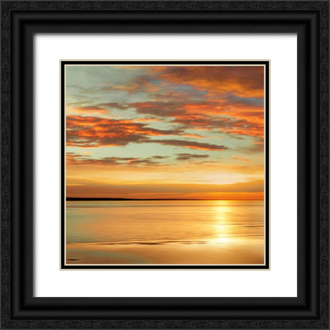 Sunlit I Black Ornate Wood Framed Art Print with Double Matting by Seba, John