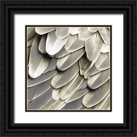 Feathered Friend - Pearl III Black Ornate Wood Framed Art Print with Double Matting by Bosco, Julia