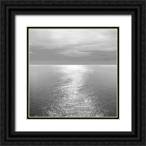 Ocean Light Gray III Black Ornate Wood Framed Art Print with Double Matting by Olsen, Maggie