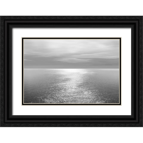 Ocean Light Gray IV Black Ornate Wood Framed Art Print with Double Matting by Olsen, Maggie