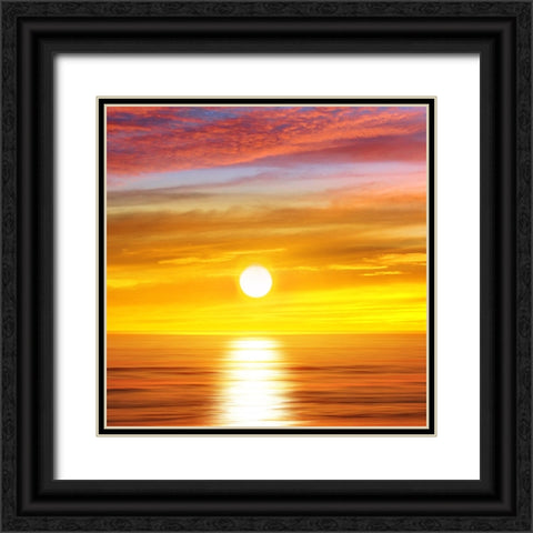Sunlit Ocean II Black Ornate Wood Framed Art Print with Double Matting by Olsen, Maggie