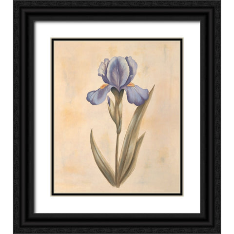 Iris Black Ornate Wood Framed Art Print with Double Matting by Huntington, Virginia