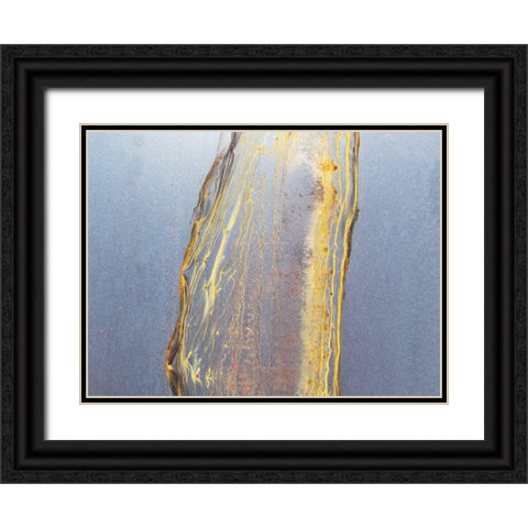 Honeycomb Black Ornate Wood Framed Art Print with Double Matting by Phillip, Jamie