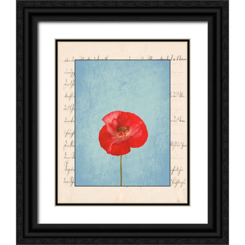 Red Flower Black Ornate Wood Framed Art Print with Double Matting by Phillip, Jamie