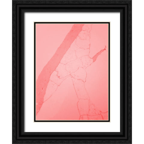 Retro 70s 1 Black Ornate Wood Framed Art Print with Double Matting by Phillip, Jamie