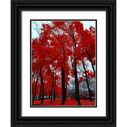 Silent Nature 4 Black Ornate Wood Framed Art Print with Double Matting by Phillip, Jamie