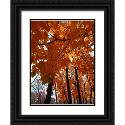 Silent Nature 5 Black Ornate Wood Framed Art Print with Double Matting by Phillip, Jamie
