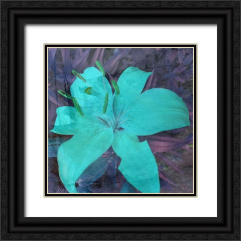 Love in The Garden 2 Black Ornate Wood Framed Art Print with Double Matting by Phillip, Jamie