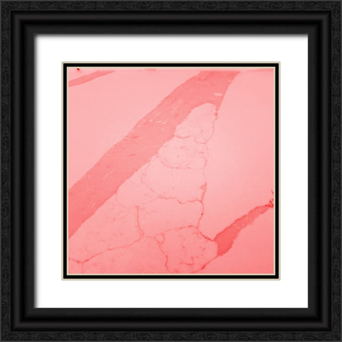 Retro 70s 2 Black Ornate Wood Framed Art Print with Double Matting by Phillip, Jamie