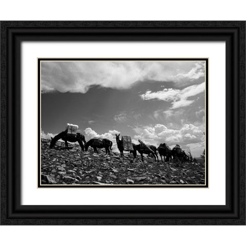 Sheepeater Mountain Fire Look Out Black Ornate Wood Framed Art Print with Double Matting by Vintage Photography