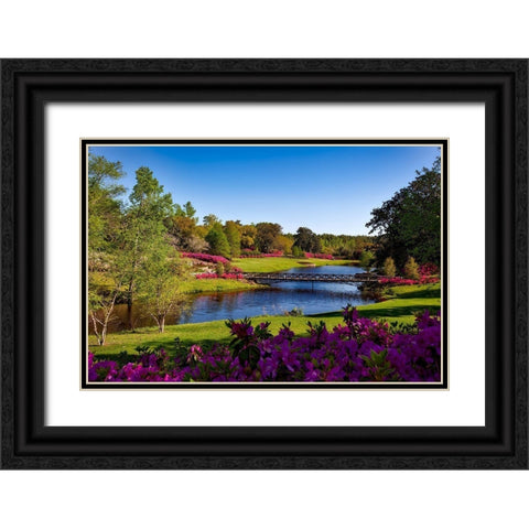 Bellingrath Gardens Alabama I Black Ornate Wood Framed Art Print with Double Matting by Alabama Picture Archive