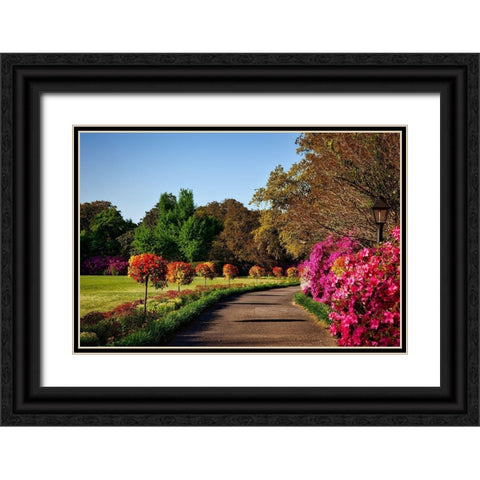 Bellingrath Gardens Alabama II Black Ornate Wood Framed Art Print with Double Matting by Alabama Picture Archive