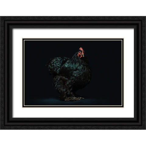 Black Beauty Black Ornate Wood Framed Art Print with Double Matting by Chickens