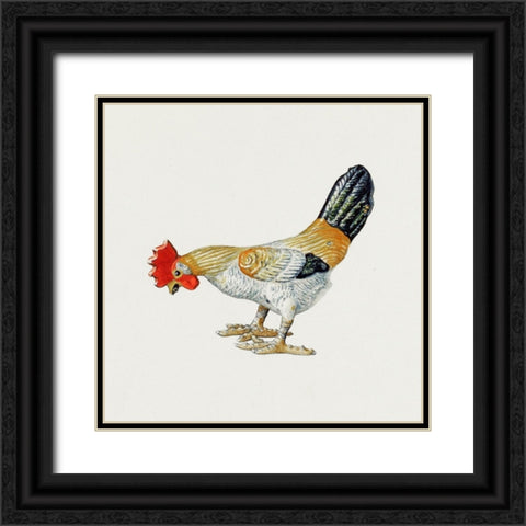 Toy Rooster Black Ornate Wood Framed Art Print with Double Matting by Hunter, Lillian