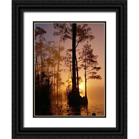 Okefenokee Swamp Sunset-Georgia Black Ornate Wood Framed Art Print with Double Matting by Georgia Picture Archive