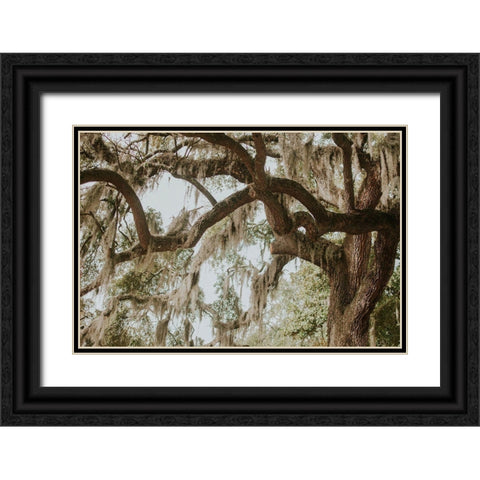 Savannah Georgia Black Ornate Wood Framed Art Print with Double Matting by Georgia Picture Archive