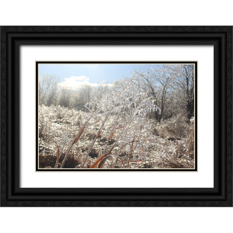 Tallgrass Trail at Big Muddy National Fish and Wildlife Refuge-Missouri Black Ornate Wood Framed Art Print with Double Matting by Weyers, Anna