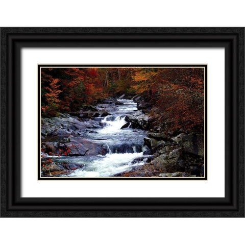 Tennessee Great Smoky Mountains National Park Black Ornate Wood Framed Art Print with Double Matting by Tennessee Picture Archive