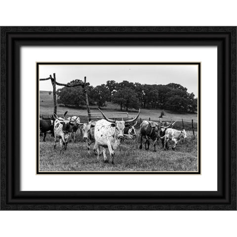 Lonesome Pine Ranch Austin County Texas Black Ornate Wood Framed Art Print with Double Matting by Texas Picture Archive
