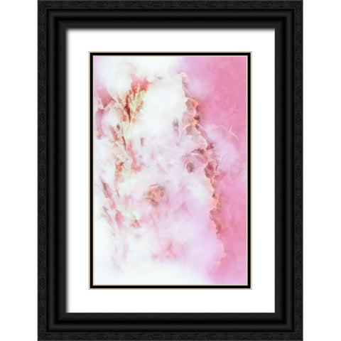 Dreaming of Roses Black Ornate Wood Framed Art Print with Double Matting by Alpenglow Workshop