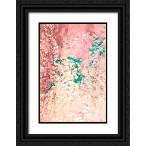 Oasis Black Ornate Wood Framed Art Print with Double Matting by Alpenglow Workshop