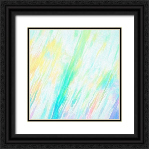 Reflecting Pool Black Ornate Wood Framed Art Print with Double Matting by Alpenglow Workshop