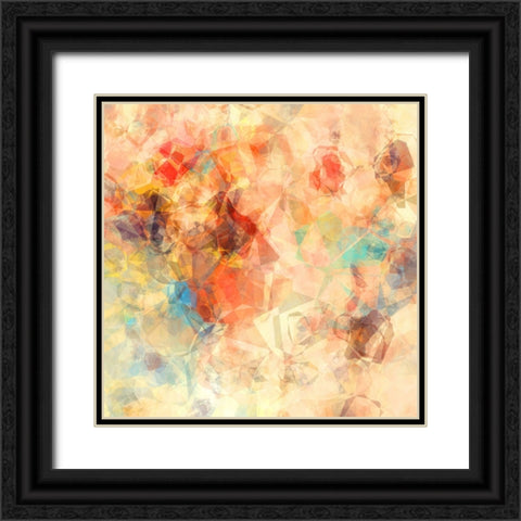 Translucent Geometries Black Ornate Wood Framed Art Print with Double Matting by Alpenglow Workshop