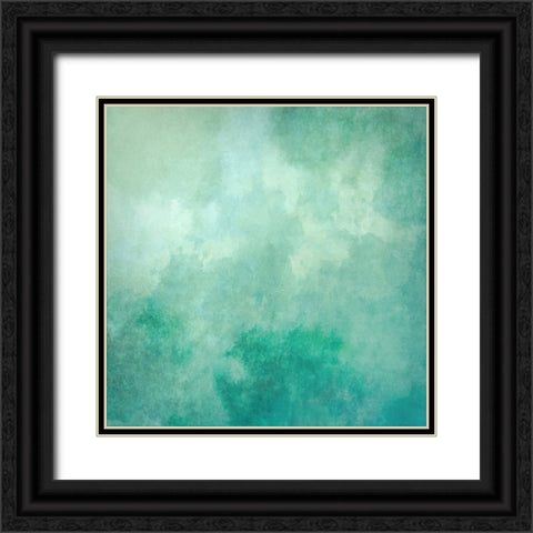 Verdantheart Black Ornate Wood Framed Art Print with Double Matting by Alpenglow Workshop