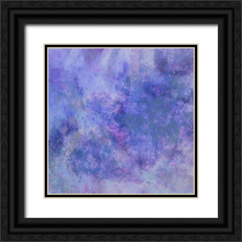 Wistful Recollections Black Ornate Wood Framed Art Print with Double Matting by Alpenglow Workshop