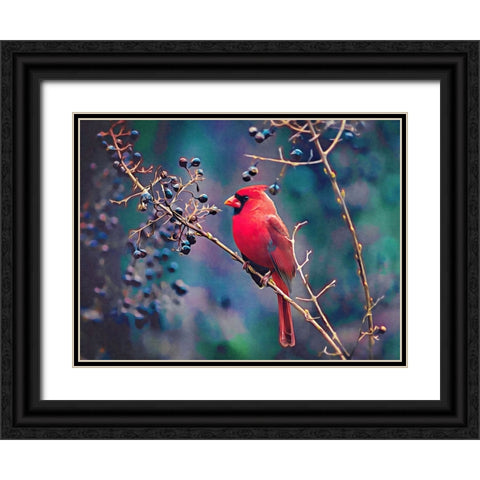 Cardinal and Berries Black Ornate Wood Framed Art Print with Double Matting by Alpenglow Workshop