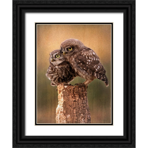 Learning the Ropes Black Ornate Wood Framed Art Print with Double Matting by Alpenglow Workshop