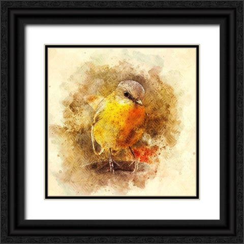 Little Bird Black Ornate Wood Framed Art Print with Double Matting by Alpenglow Workshop