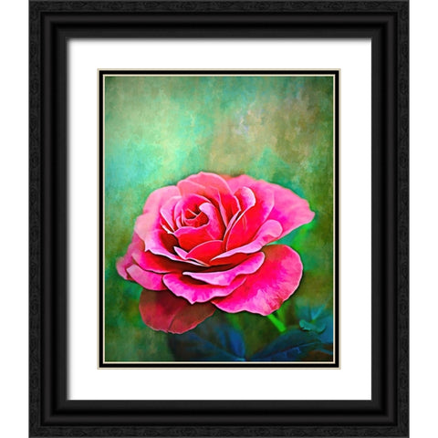 Exquisite Pink Rose Black Ornate Wood Framed Art Print with Double Matting by Alpenglow Workshop