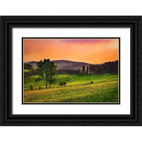 Evening Pasture Black Ornate Wood Framed Art Print with Double Matting by Alpenglow Workshop