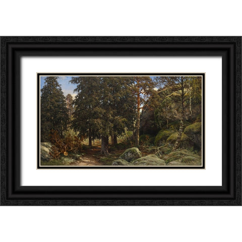 Forest Interior Black Ornate Wood Framed Art Print with Double Matting by Alpenglow Workshop