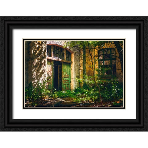 Forgotten Entrance Black Ornate Wood Framed Art Print with Double Matting by Alpenglow Workshop
