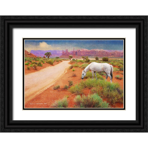 White Horse Road in Monument Valley Black Ornate Wood Framed Art Print with Double Matting by Vest, Christopher