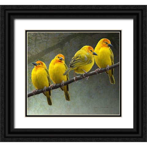 Golden Taveta Weavers Black Ornate Wood Framed Art Print with Double Matting by Vest, Christopher