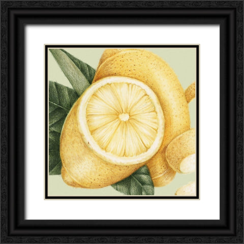 JuiceyFruit III Black Ornate Wood Framed Art Print with Double Matting by Hunziker, Steve