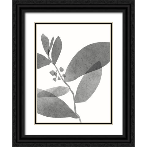 New Roots II Black Ornate Wood Framed Art Print with Double Matting by Holman, Nicholas