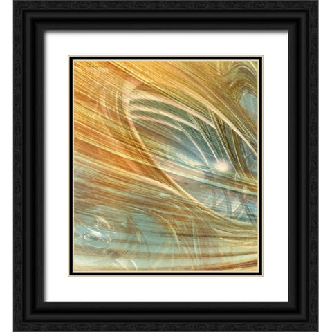 Coarse Fluctuation I Black Ornate Wood Framed Art Print with Double Matting by Hunziker, Steve